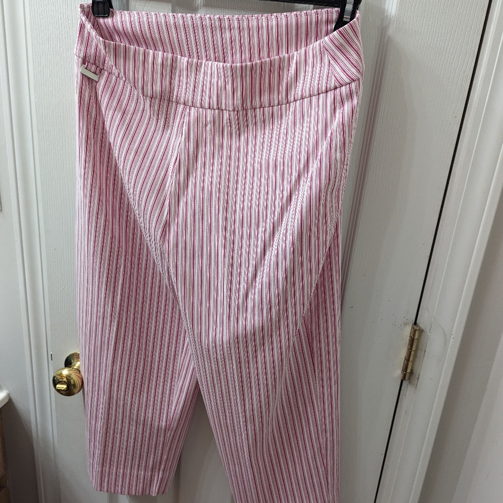 Kate and Park...Crop pants pink and white strips, decorative metal on one side